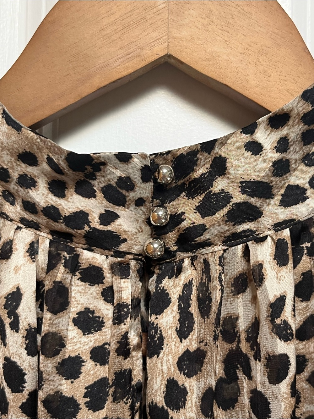 H & M - Sheer Animal Print Blouse 
Stylish & Trendy - Size M